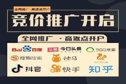 SEM推广实战：案例分析与优化